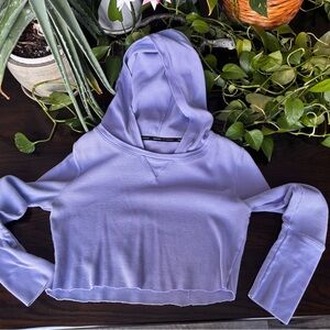 Calvin Klein Light Purple Cropped Hoodie